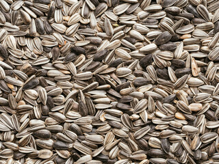 Sunflower seeds
