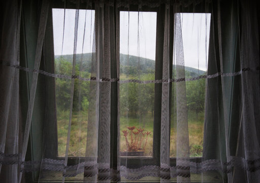 Window