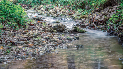 Close up view of river in the forest. Samoborsko gorje, summer in Croatia.