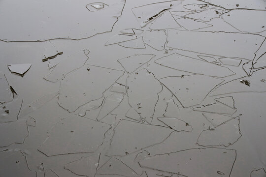 floe on pond