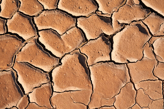 Cracked surface of dry ground in sunlight