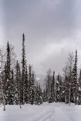 Landscape in the winter ski hiking in the mountains of the Urals
