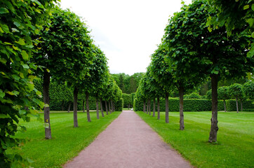 Catherine park in Pushkin (Tsarskoe Selo), Saint Petersburg, Russia