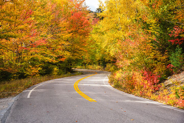 Stunning autumn colours along a deserted winding mountain road on a sunny day
