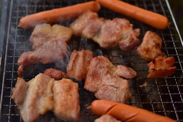 grilled meat on the grill