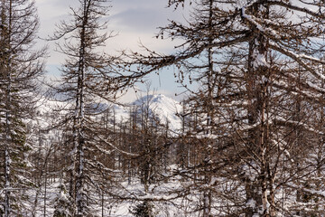 Fototapeta na wymiar Landscape in the winter ski hiking in the mountains of the Urals