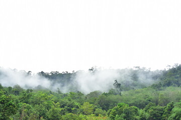 "View of the sky, misty mountain, seen in the morning before dawn, looking up from the top of the mountain