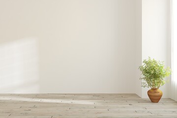 Fototapeta na wymiar White empty room with green home plant. Scandinavian interior design. 3D illustration