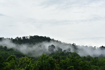 "View of the sky, misty mountain, seen in the morning before dawn, looking up from the top of the mountain