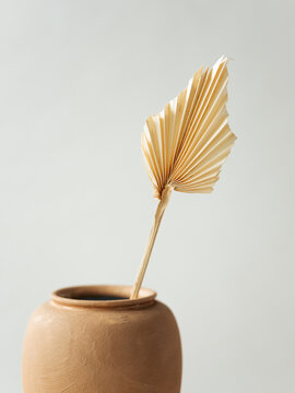 Minimal Dried Palm Leaf in Terracotta Vase 