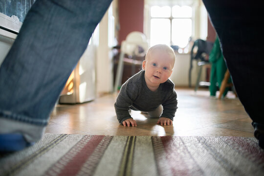 Baby: Crawling baby