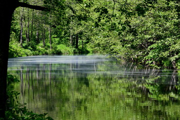 Fototapeta na wymiar A view of a vast yet shallow river flowing through a dense deciduous forest with some of the trees being reflected in the surface of the reservoir seen on a sunny summer day on a Polish countryside