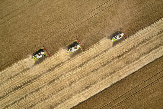 Harvesting by combines on gold field of ripe cereals