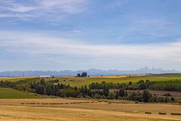 Fototapeta na wymiar Fields and blue sky with white clouds and Teton mountain range background