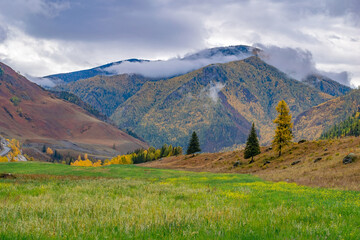 landscape of a mountain autumn rocky valley with green grass in a clearing and clouds, mists on the tops of mountains