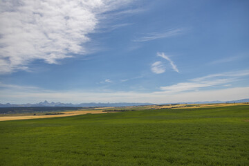 Green field and blue sky with white clouds and Teton mountain range in background