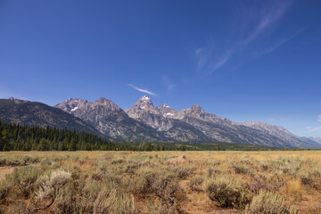 Grand Teton National Park, Wyoming, USA