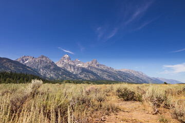 Grand Teton National Park, Wyoming, USA