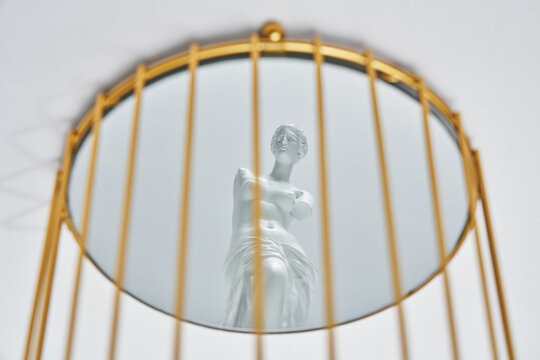Statue of Venus de Milo in birdcage