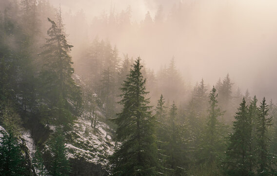 foggy mountain winter sunrise 3