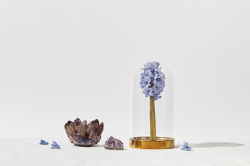 Amethyst crystals and hyacinthus flower