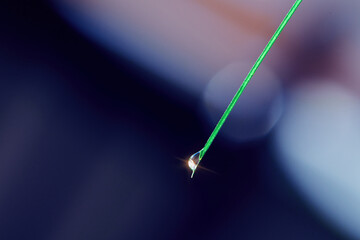 Dew drop on a blade of grass. Small water drop on the end of green grass leaf.