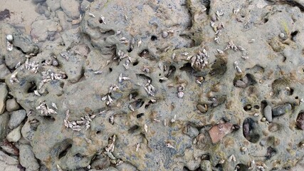 concrete wall texture