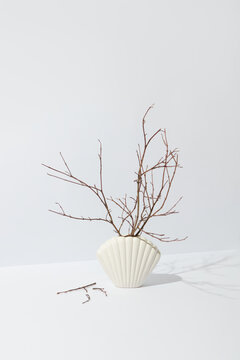 Dried twigs in ceramic vase in shape of shell