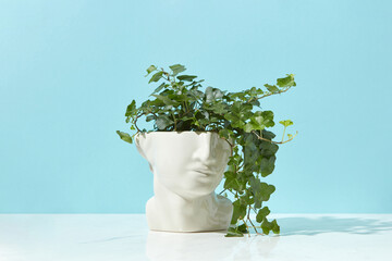 Potted plant in ceramic pot in shape of head