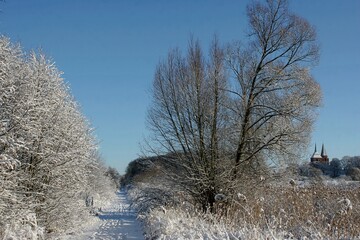 Winterimpression