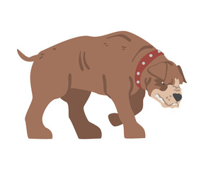 Large Aggressive Brown Dog in Leather Collar Vector Illustration
