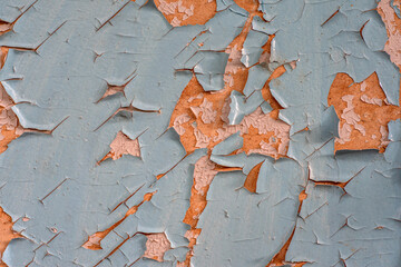 old shabby paint, shabby wooden door, texture