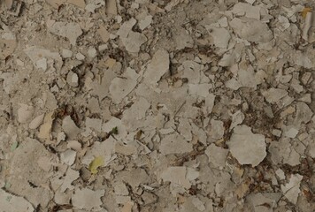 detail texture of the stone