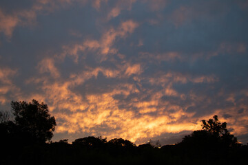 The sun sets over the forest on the Garden Route in South Africa
