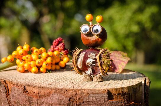 creative ideas from autumnal fruit and berries, diy autumn craft