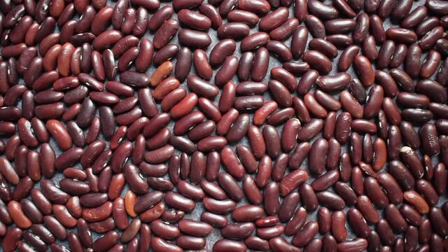 Raw whole dried red kidney beans