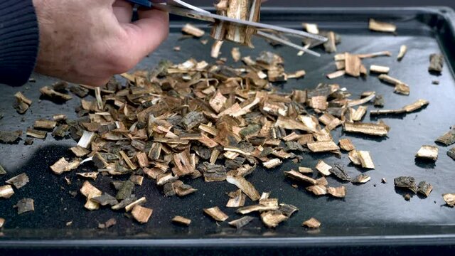 Cutting wood bark of Smoke Tree into small pieces (Cotinus coggyria) - (4K)