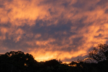 Fototapeta premium The sun sets over the forest on the Garden Route in South Africa