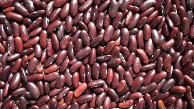 Raw whole dried red kidney beans