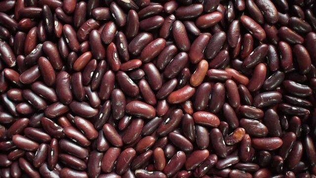Raw whole dried red kidney beans