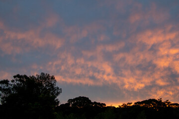 The sun sets over the forest on the Garden Route in South Africa