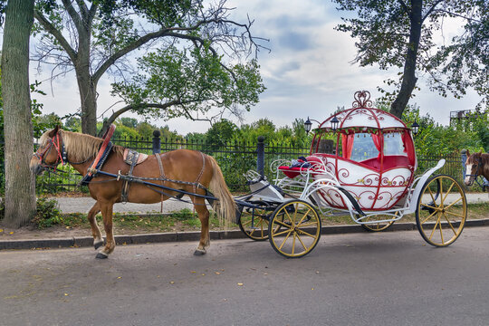 Сarriage in Suzdal, Russia