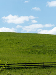 Łączka w Szczawnicy, jak z Windowsa xp © Piotr