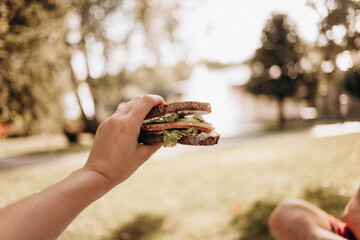 sandwich in nature