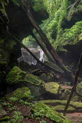 A secluded ravine or hollow, strewn with fallen trees and mossy boulders hides a waterfall flowing...