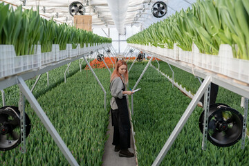 gardener girl working in a greenhouse with tulips
