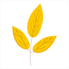 A branch with yellow leaves on a white background for use in clip art or web design