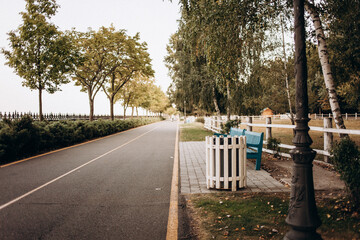 road in the park