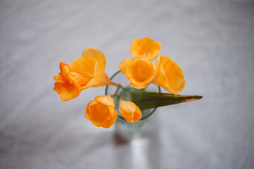 tulips on a table