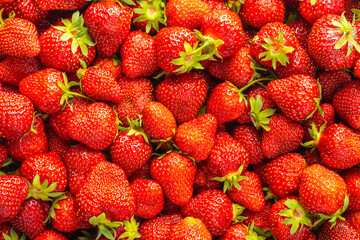 Whole ripe red strawberries.